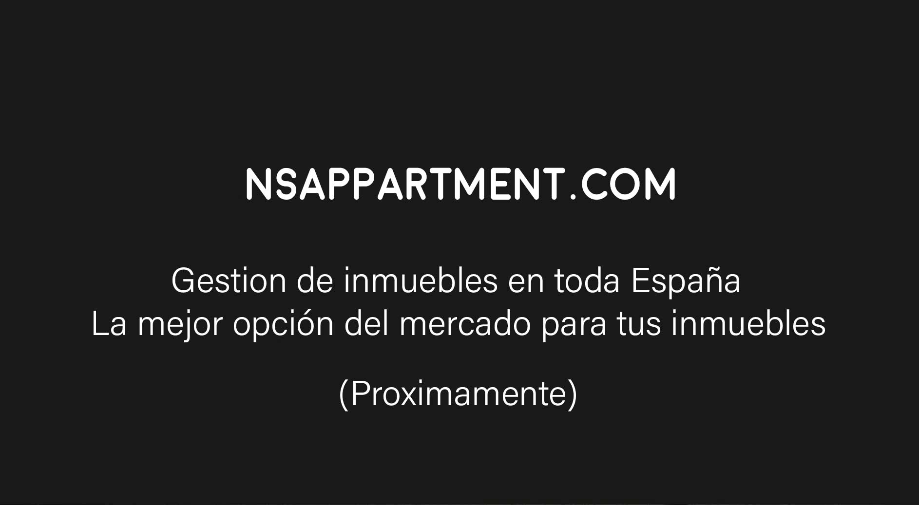 Logo-NS